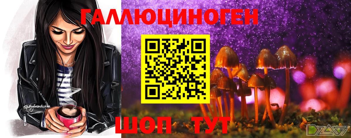 Галлюциногенные грибы мухоморы  Галлюциногенные грибы GOLDEN TEACHER  Вход с VPN  Ишим 
